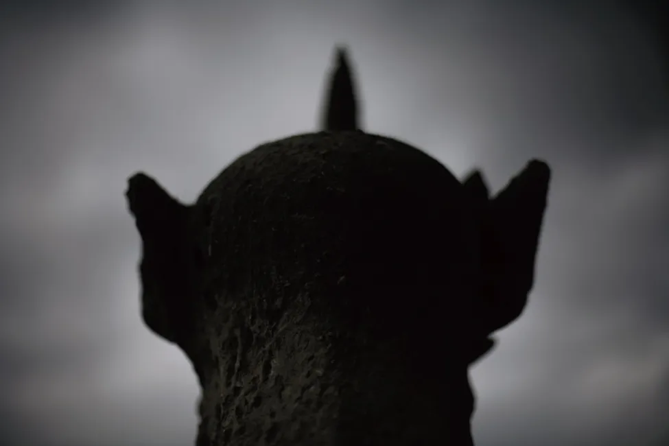 notre dame de paris gargoyles 1