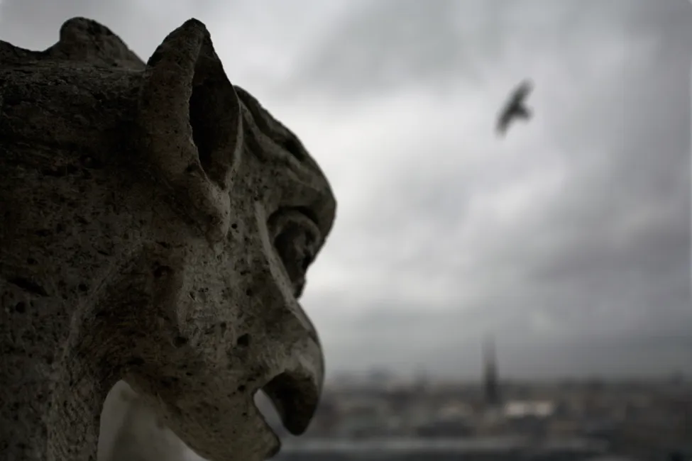 notre dame de paris gargoyles 3