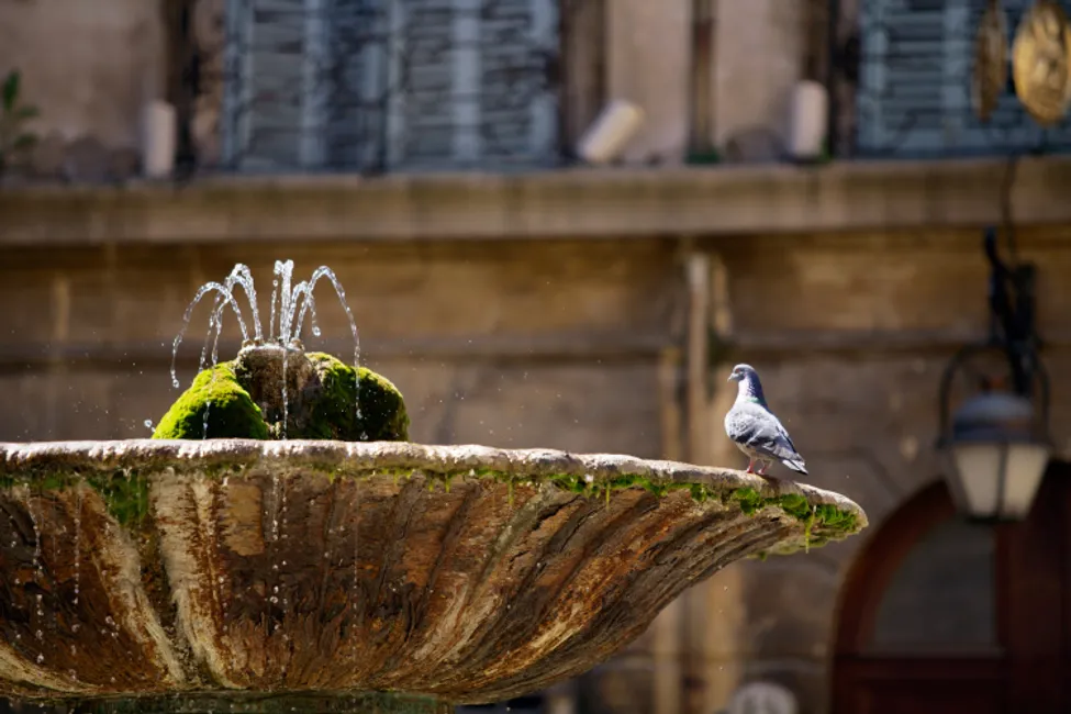 Aix En Provence fountain, France