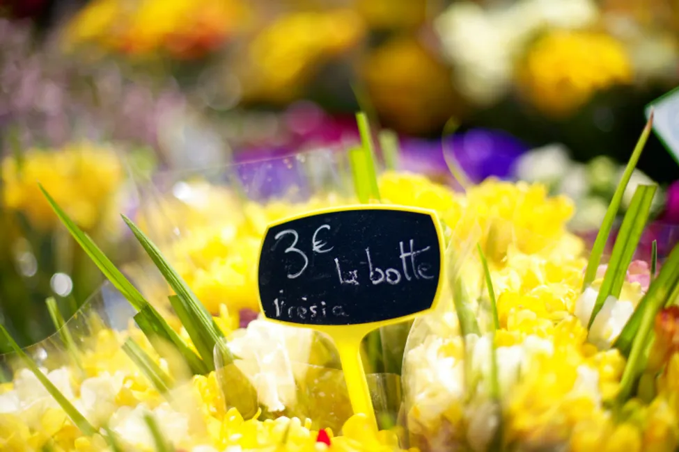 Aix En Provence market, France
